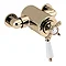 Bristan - 1901 Exposed Dual Control Thermostatic Shower Valve - Gold - N2-CSHXVO-G Large Image