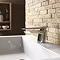 Bristan - Claret Monobloc Basin Mixer - CLR-BASNW-C Profile Large Image