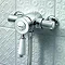 Bristan Colonial2 Thermostatic Surface Mounted Shower Valve + Adjustable Riser  Feature Large Image