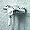 Bristan Colonial2 Thermostatic Surface Mounted Shower Valve + Adjustable Riser Feature Large Image