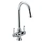 Bristan Renaissance Monobloc Kitchen Sink Mixer - Chrome - RS-SNK-EF-C Large Image