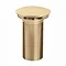 Bristan Round Unslotted Clicker Basin Waste - Gold Large Image