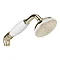 Bristan Traditional Deluxe Shower Handset - Gold Large Image