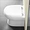 Britton Bathrooms - Compact Back to Wall WC with Soft Close Seat Standard Large Image