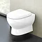 Britton Bathrooms - Compact Wall Hung WC with Soft Close Seat  Feature Large Image