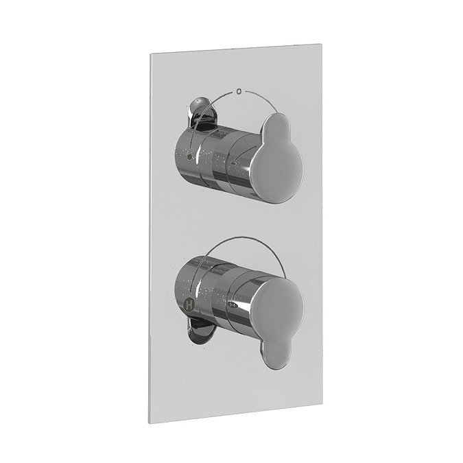 Britton Bathrooms - Concealed Twin Thermostatic Valve with Round Fixed Head and Slider Kit Profile L