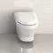 Britton Bathrooms - Curve Wall hung WC with soft close seat Feature Large Image