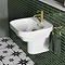 Britton Bathrooms Curve2 550mm 1TH Basin with Semi Pedestal  Feature Large Image