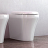 Britton Bathrooms Fine S40 Back to Wall WC with Soft Close Seat  Profile Large Image