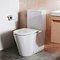 Britton Bathrooms Sphere Rimless Close Coupled Toilet + Soft Close Seat  additional Large Image