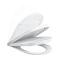 Britton Bathrooms Stadium Back To Wall Pan + Soft Close Seat Profile Large Image