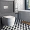 Britton Bathrooms Stadium Wall Hung Pan + Soft Close Seat  Feature Large Image