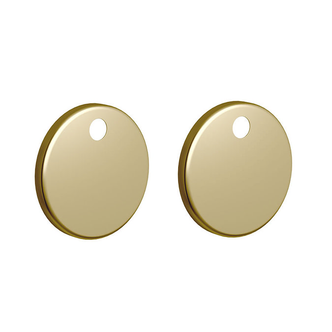 Britton Bathrooms Toilet Seat Hinge Cover Plates - Brushed Brass Large Image