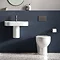 Britton Bathrooms Trim Back-to-Wall Pan + Soft Close Seat  Profile Large Image