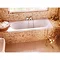Cleargreen - Verde Double Ended Acrylic Bath Profile Large Image