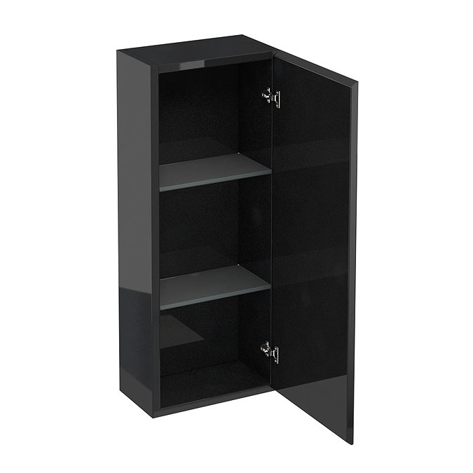 Britton Bathrooms - W300 x H750 Single Mirrored Door Wall Cabinet - Black Large Image