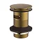 Britton Hoxton Slotted Click Clack Basin Waste - Brushed Brass Large Image