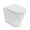 Britton Bathrooms Sphere Rimless Back To Wall Pan + Soft Close Seat Large Image