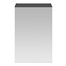 Brooklyn 450mm Gloss Grey Bathroom Mirror Unit  Profile Large Image