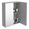 Brooklyn 600mm Grey Mist Bathroom Mirror Cabinet - 2 Door Standard Large Image