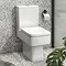 Brooklyn Modern Square Toilet with Soft Close Seat Large Image