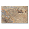 Burbank Brown Stone Effect Wall and Floor Tiles - 400 x 600mm