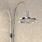 Burlington Anglesey Angled Bath Shower Mixer w Riser, Curved Arm, 9" Rose & Handset Feature Large Im