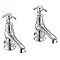 Burlington Anglesey Regent - Chrome 5" Basin Taps - ANR2 Large Image