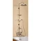 Burlington Anglesey Wall Mounted Angled Bath Shower Mixer w Riser, 9" Rose & Soap Basket Large Image