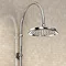 Burlington Birkenhead Angled Bath Shower Mixer w Riser, Curved Arm, 9" Rose & Handset Feature Large
