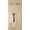 Burlington Clyde Anglesey Valve w Cradle, Straight Arm, 9" Rose & Shower Kit - Brass Backplate Large