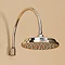 Burlington Clyde Claremont Valve w Curved Arm, 9" Rose & Slider Rail Kit - Brass Backplate Feature Large Image