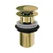 Burlington Gold Click-Clack Slotted Push Button Basin Waste Large Image