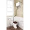 Burlington High Level WC White Ceramic with Angled Extension Pipes  Profile Large Image
