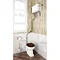 Burlington High Level WC White Ceramic with Angled Extension Pipes Profile Large Image