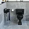 Burlington Jet Black Edwardian 2TH 51cm Cloakroom Basin & Chrome Wash Stand  Profile Large Image