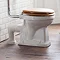Burlington Medici Ceramic Trap for Converting P-Trap Pans to S-Trap - C26M Profile Large Image