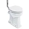 Burlington Regal High Level Raised Height Toilet with White Ceramic Cistern Profile Large Image