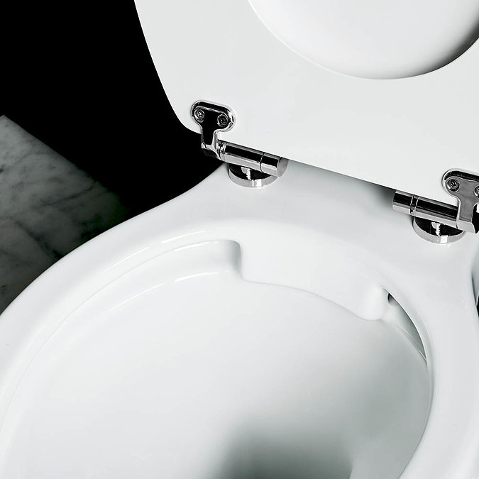 Burlington Rimless Back To Wall Pan - P21 Standard Large Image