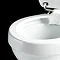 Burlington Rimless Close Coupled WC with 520mm Front Push Button Cistern  Profile Large Image
