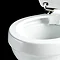Burlington Rimless Close Coupled WC with 520mm Front Push Button Cistern Profile Large Image