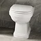 Burlington Riviera Back To Wall Toilet with Soft Close Seat  Profile Large Image