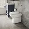 Burlington Riviera Back To Wall Toilet with Soft Close Seat  Feature Large Image