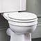 Burlington Soft Close Toilet Seat - Gloss White Seat - S18  Profile Large Image