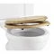 Burlington Soft Close Golden Oak Toilet Seat - S16 Large Image