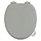 Burlington Soft Close Toilet Seat with Chrome Hinges and Handles - Dark Olive Large Image