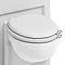 Burlington Soft Close Toilet Seat with Chrome Hinges and Handles - Matt White Profile Large Image