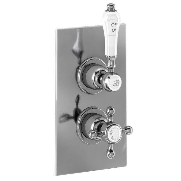 Burlington Trent Claremont Concealed Valve w Straight Arm & 9" Rose - Brass Backplate Feature Large 