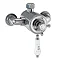 Burlington Wye Exposed Thermostatic Valve - Single Outlet - Anglesey - H391-AN Large Image