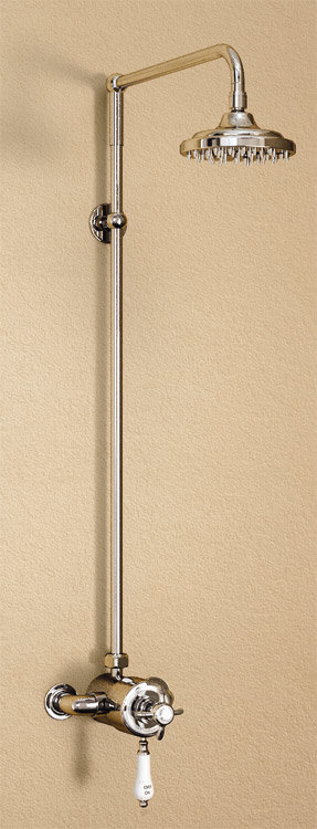 Burlington Wye Birkenhead Exposed Valve w Rigid Riser, Straight Arm and 6" Shower Rose Profile Large Image